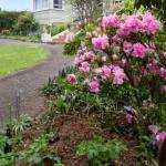 Anabels Of Scottsdale - Tourism Canberra 0