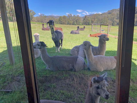 Valley Farm Vineyard Cottages - Tourism Canberra 2