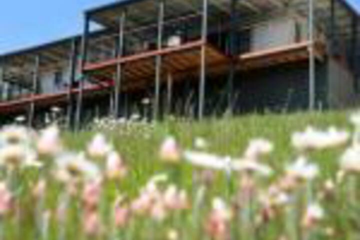 Abels Bay TAS Tourism Canberra