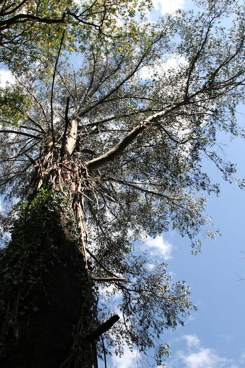 Gatehouse Cottage At Merrow Cottages - Mt Dandenong - Tourism Canberra 4