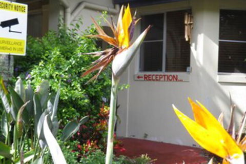 Ocean Shores Motel - Tourism Canberra 2