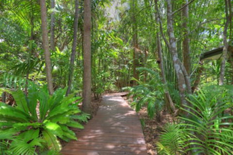 Montville Grove - Tourism Canberra 0