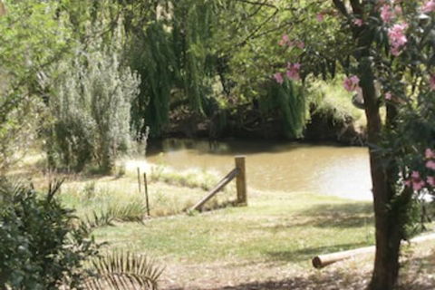 Kellys Motel Oakey - Tourism Canberra 5