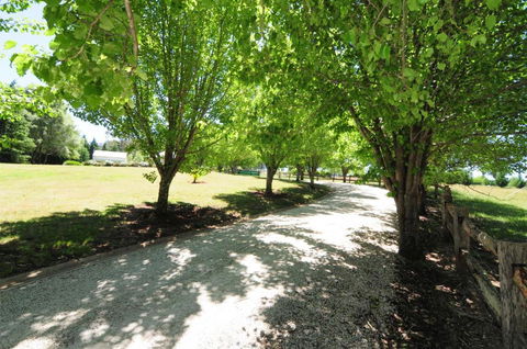 Daisy Cottage - Tourism Canberra 7