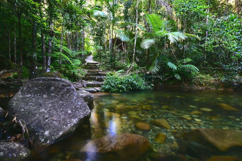 Daintree Cascades - Tourism Canberra 2