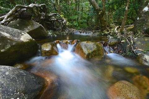 Daintree Cascades - Tourism Canberra 1