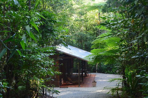 Daintree Cascades - Tourism Canberra 3