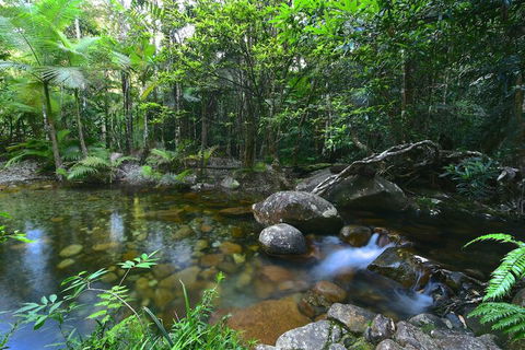Daintree Cascades - Tourism Canberra 5