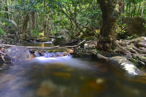 Daintree Cascades - Tourism Canberra 6