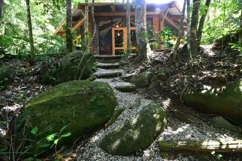Daintree Cascades - Tourism Canberra 7
