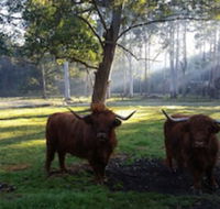 Dingley Dell - Tourism Canberra