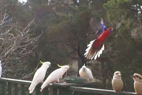 Mooltan House-hepburn Springs - Tourism Canberra 3