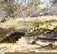 Wrens View - Tourism Canberra