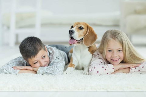 BOUTIQUE STAYS - Roxys Place - Tourism Canberra 4