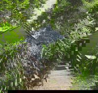 Montagues of Montville - Tourism Canberra