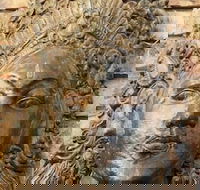 Ballina Palms Boutique Motel - Tourism Canberra