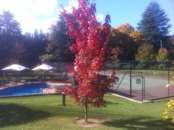 Chestnut Tree Holiday Apartments - Tourism Canberra 1