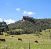 Rosevale House - Tourism Canberra