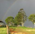 CBR Equine Cottage - Tourism Canberra