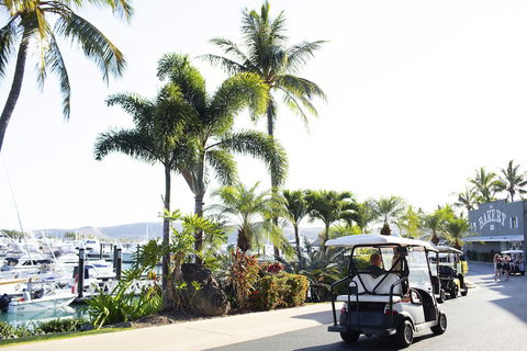 Yacht Club Villas - Tourism Canberra 1