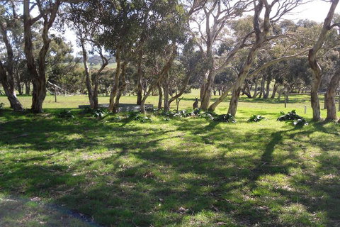 Wenton Farm Holiday Cottages - Tourism Canberra 3