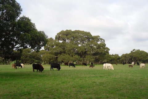 Wenton Farm Holiday Cottages - Tourism Canberra 4
