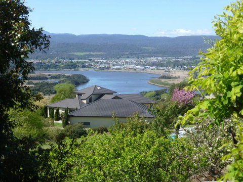 Protea Hill - Tourism Canberra 2