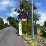 Protea Hill - Tourism Canberra 0