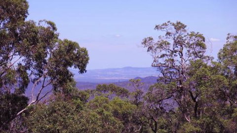 Ravensbourne Escape Cedar Lodge - Tourism Canberra 5