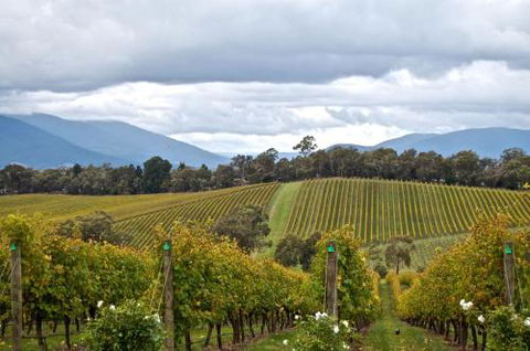 Mount Evelyn Retreat - Tourism Canberra 2