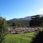 Bornes Hill ACT Tourism Canberra