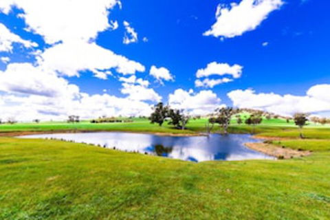 Hillview Farmstay - Tourism Canberra 0