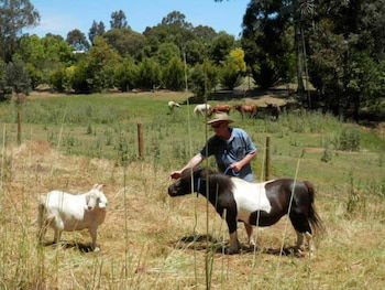 Country Cottages Of Bridgetown - Tourism Canberra 0