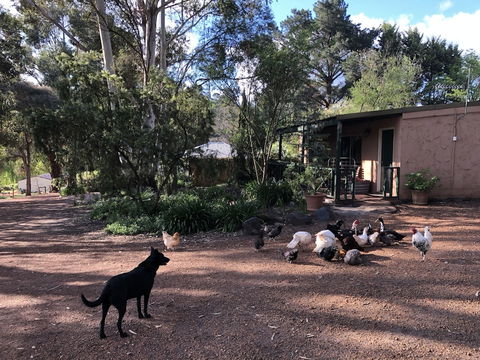 Country Cottages Of Bridgetown - Tourism Canberra 4