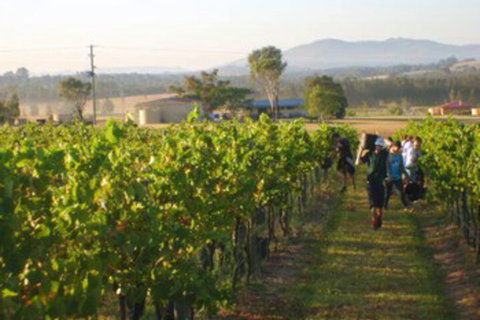 Broken View Estate - Tourism Canberra 5