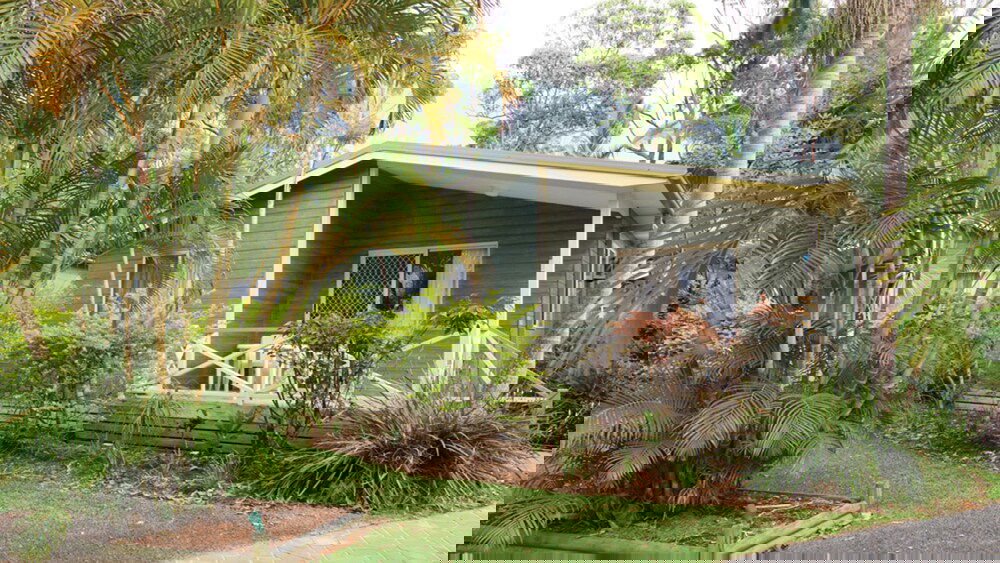 Arrawarra NSW Tourism Canberra