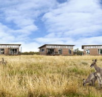 Savannah Cabins - Tourism Canberra