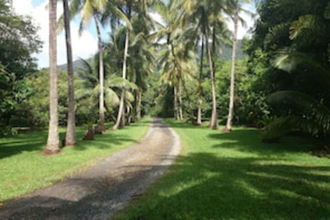 Cape Trib Farmstay - Tourism Canberra 0
