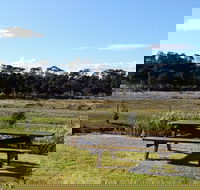 Pelican Point Sanctuary - Tourism Canberra