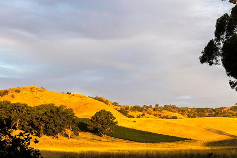 Dairymans Cottage - Tourism Canberra 6