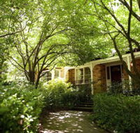 Leura Camellias - Tourism Canberra