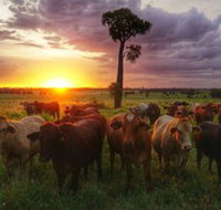 Myella Farm Stay - Tourism Canberra