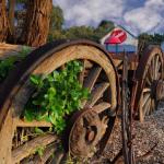 Allendale East SA Tourism Canberra