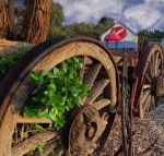 Bellum Hotel - Tourism Canberra