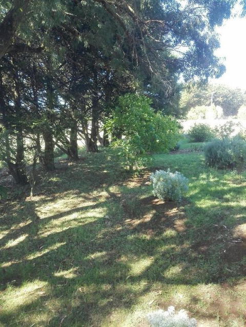 Cozy Stay Cottage - Tourism Canberra 2