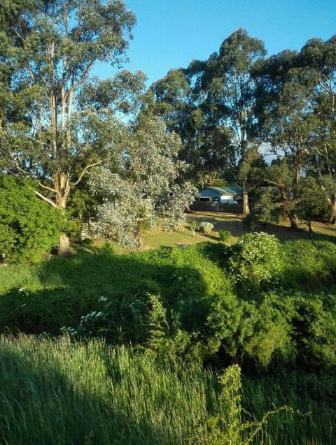 Cozy Stay Cottage - Tourism Canberra 3
