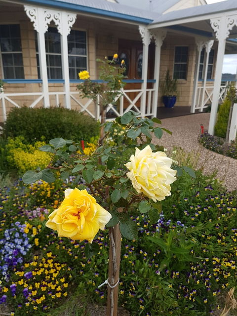 Grovely House Bed & Breakfast - Tourism Canberra 3