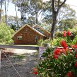Dalmeny NSW Tourism Canberra