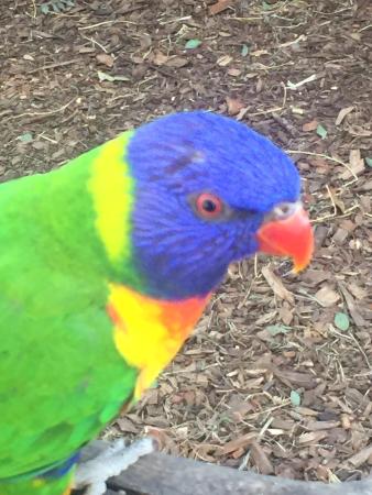 Fish 'n' Bits - Tourism Canberra 0