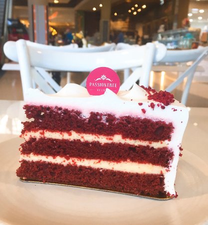 Balgowlah Heights NSW Tourism Canberra